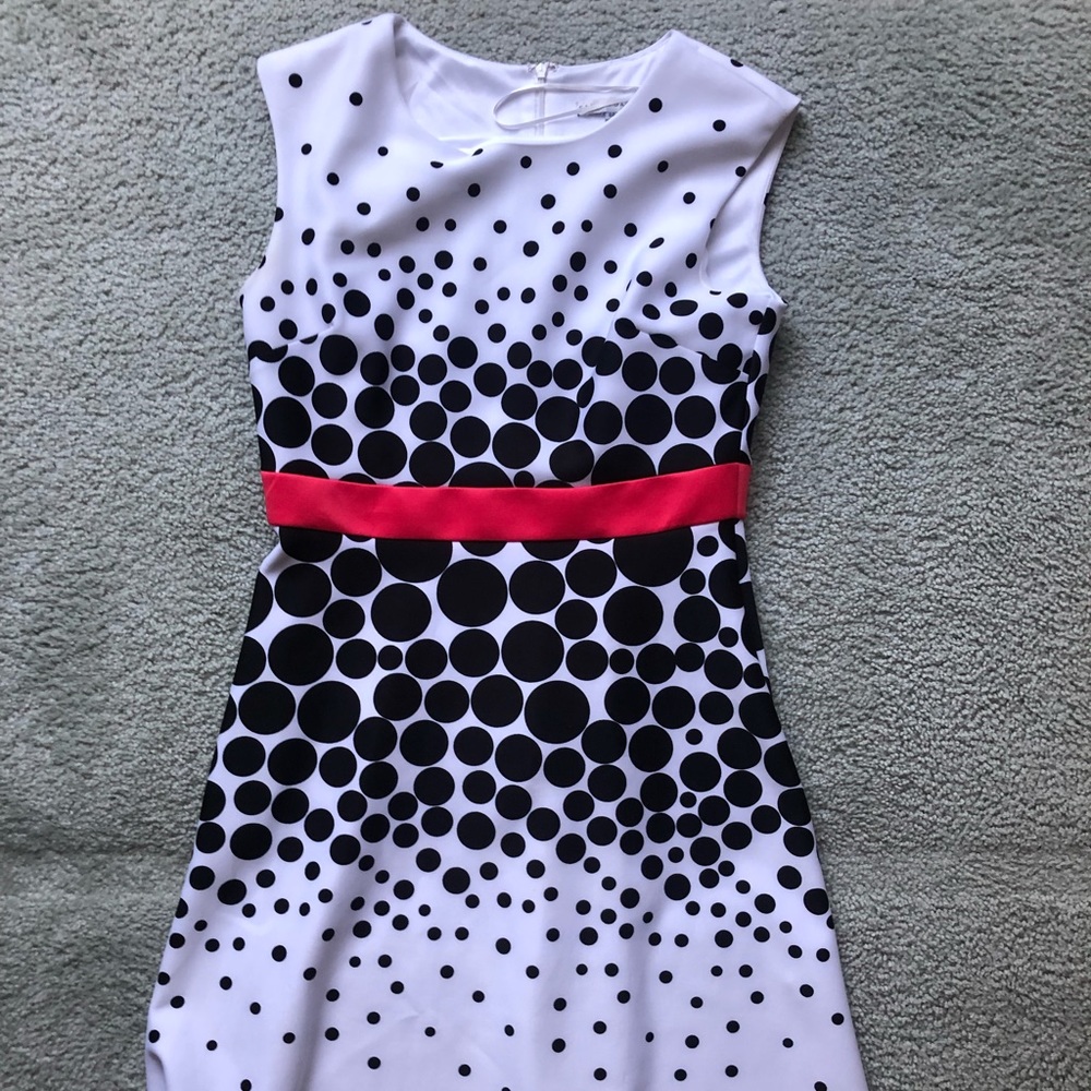 Sandra Darren Dress